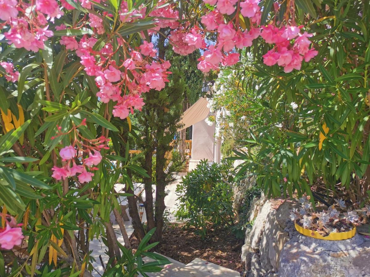 Guest House Casa Cassien Montauroux Exterior photo